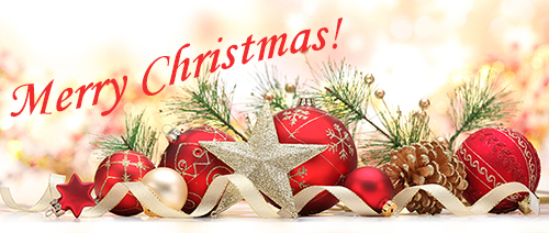 xmas-newsletter-banner